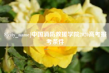 格尔木中国消防救援学院2020高考报考条件