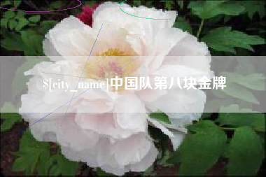 格尔木中国队第八块金牌