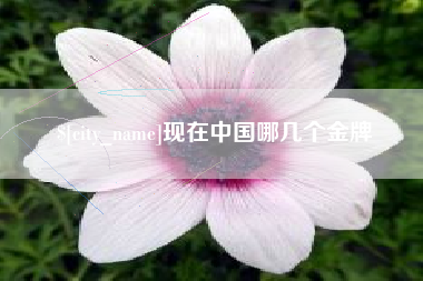 格尔木现在中国哪几个金牌