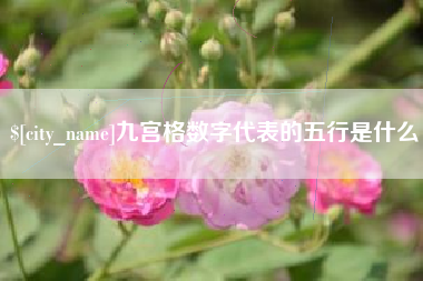 格尔木九宫格数字代表的五行是什么