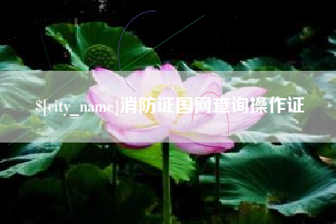 格尔木消防证国网查询操作证