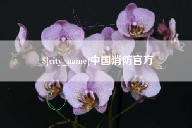 格尔木中国消防官方