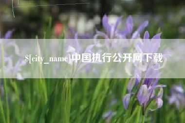 格尔木中国执行公开网下载