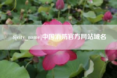 格尔木中国消防官方网站域名