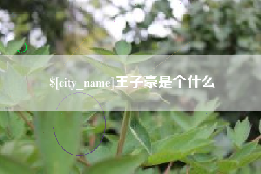 格尔木王子豪是个什么