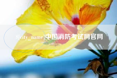 格尔木中国消防考试网官网