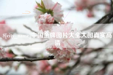 格尔木中国金牌图片大全大图真实高清