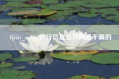 格尔木执行信息公开网是干嘛的