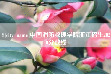 格尔木中国消防救援学院浙江招生2020分数线