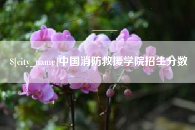 格尔木中国消防救援学院招生分数