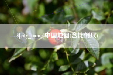 格尔木中国地图(含比例尺)