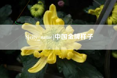 格尔木中国金牌样子