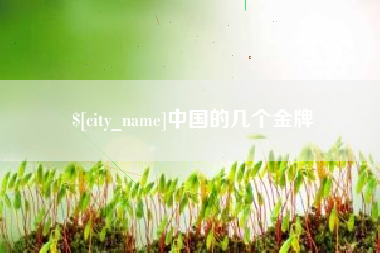 格尔木中国的几个金牌