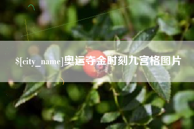 格尔木奥运夺金时刻九宫格图片