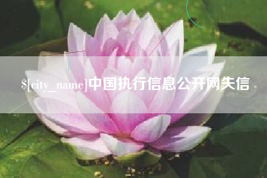 格尔木中国执行信息公开网失信