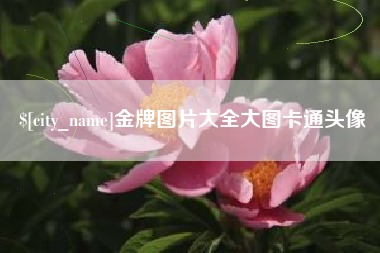 格尔木金牌图片大全大图卡通头像