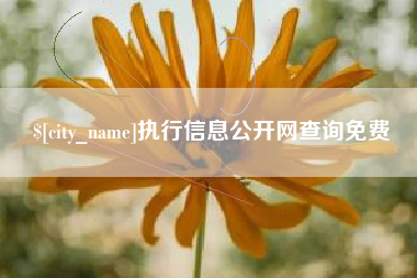 格尔木执行信息公开网查询免费