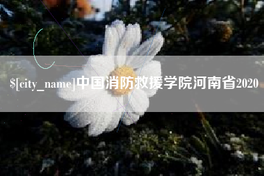 格尔木中国消防救援学院河南省2020
